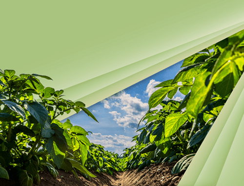 Farming and rural business conference