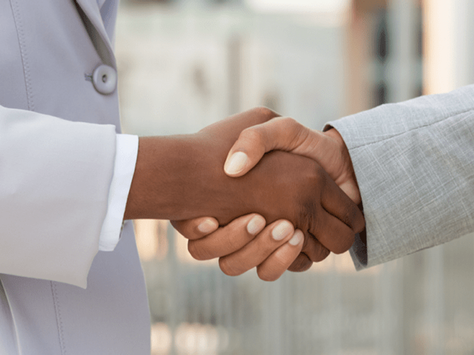 Professionals shaking hands