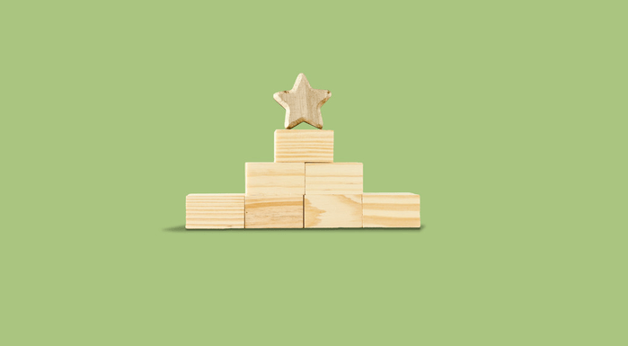 Building blocks with star
